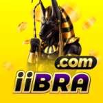 iibra Master v4.1.2