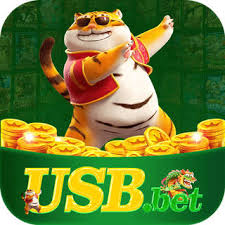 usbbet Pro 2026