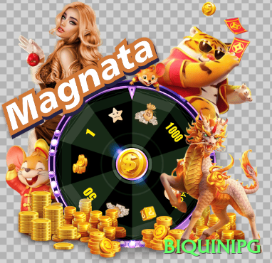 biquinipg Brasil Premium v3.1.1 Screenshot 1